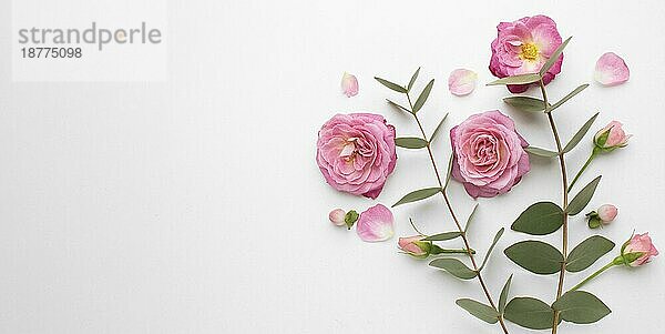 Draufsicht Rosen Blumen mit Kopierraum. Auflösung und hohe Qualität schönes Foto