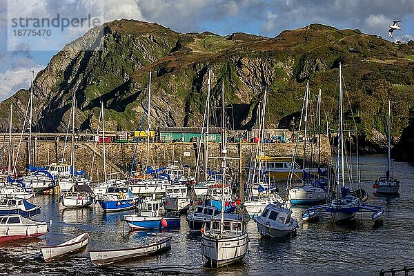 ILFRACOMBE  DEVON/UK - 19. OKTOBER : Blick auf den Hafen von Ilfracombe am 19. Oktober 2013