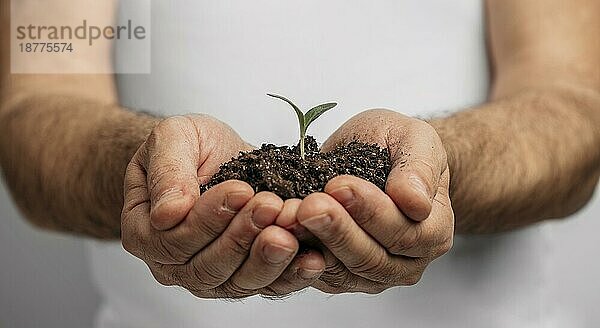 Vorderansicht männliche Hände  die eine Bodenpflanze halten