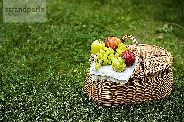 Hochkant-Picknickkorb mit Obst
