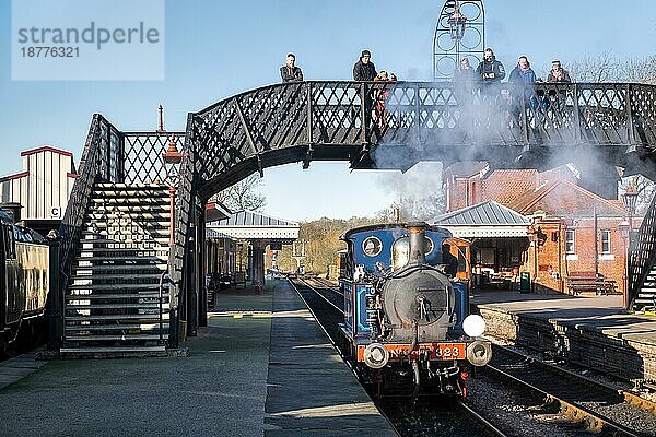 Bluebell-Dampfzug in Sheffield Park Station