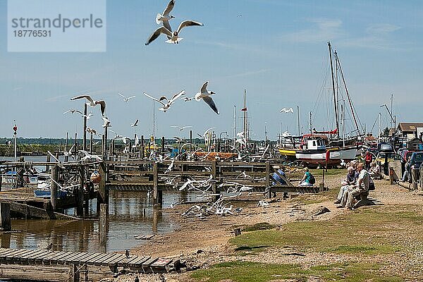 Menschen  die in Southwold Fischchips genießen