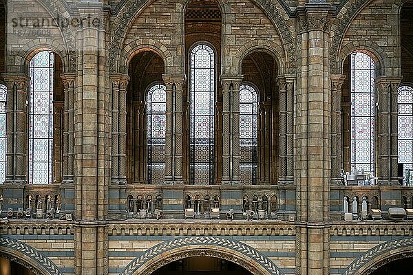 Innenansicht des Natural History Museum in London