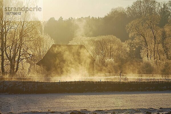 Nebliger Wintermorgen mit einem alten Haus