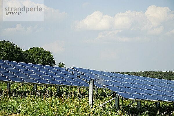 Grüne Energie  Sonnenkollektoren auf einer Wiese
