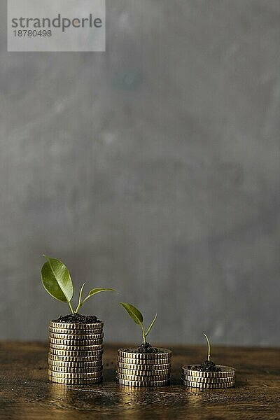 Vorderansicht drei Stapel Münzen mit Pflanzen Kopierraum. Schönes Foto