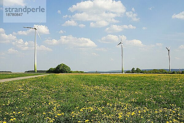 Alternative Energie mit Windkraft
