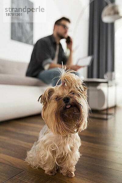 Liebenswerter Hund mit Besitzer