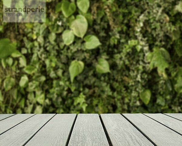 Tischoberfläche mit Blick auf unscharfe grüne Blätter. Auflösung und hohe Qualität schönes Foto