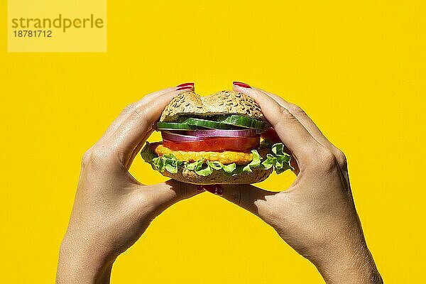 Person hält leckeren Veggie-Burger. Auflösung und hohe Qualität schönes Foto