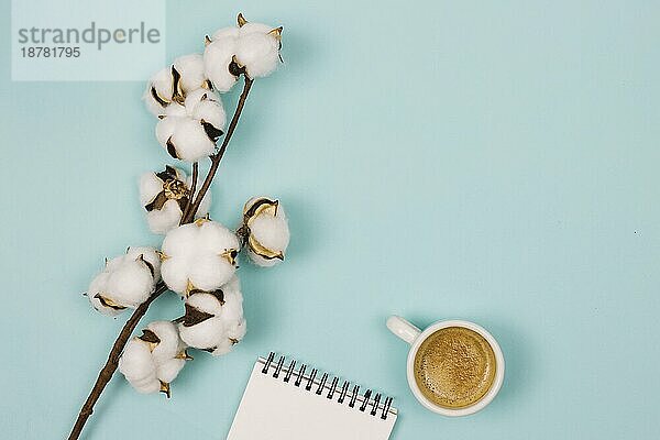 Draufsicht Baumwolle Blume Spirale Notizblock Kaffeetasse blauem Hintergrund . Auflösung und hohe Qualität schönes Foto