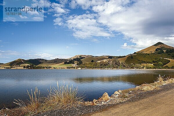 Die Otago-Halbinsel bei Dunedin in Neuseeland