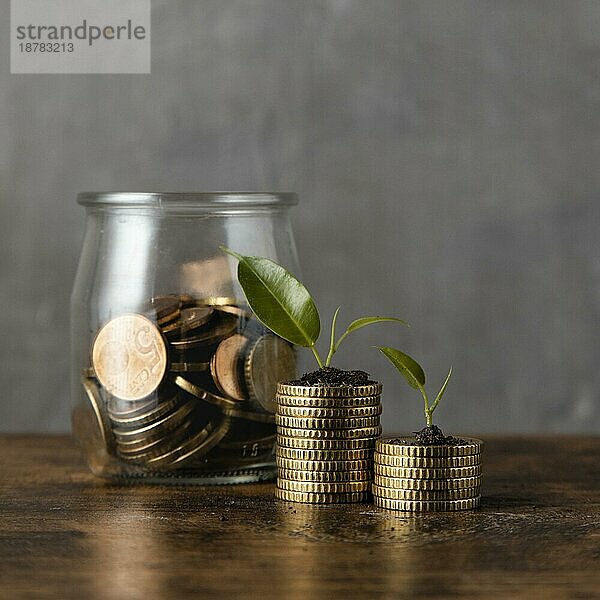 Vorderansicht zwei Stapel Münzen mit Pflanzengefäß. Foto mit hoher Auflösung