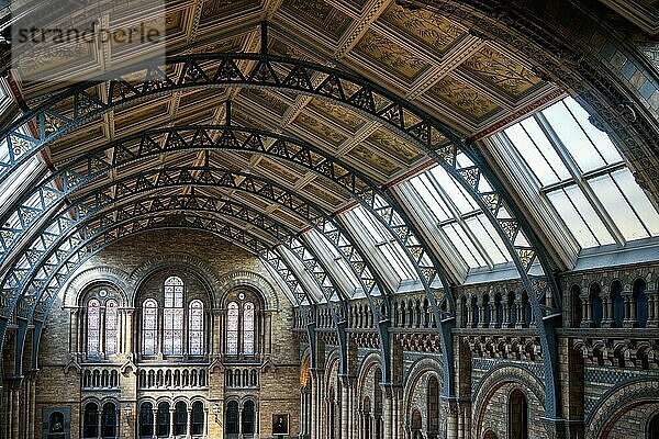 Deckendetail des Natural History Museum in London