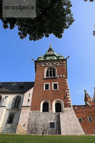 Die Kathedrale auf der Wawel von Norden gesehen  Krakau Polen
