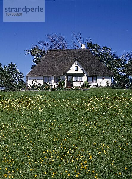 Wiese  Haus  Bäume