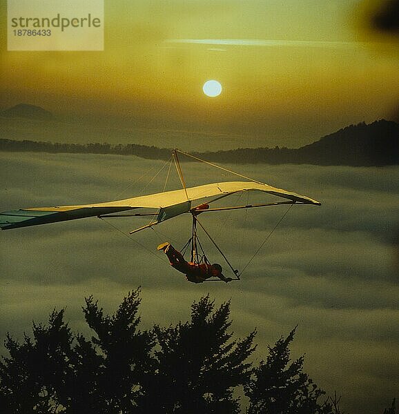 Drachenflieger im Sonnenuntergang Hang-glider in the sundown  sunset