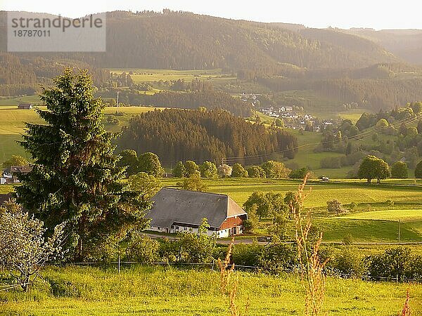 Landschaft bei Lenzkirch. Schwarzwald  Baden-Württemberg  Deutschland  Europa