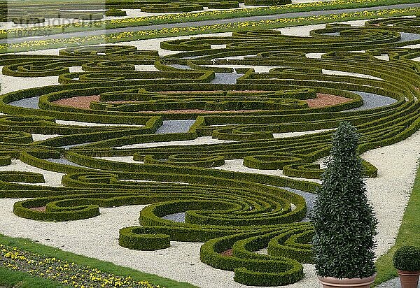 Blühendes Barock Ludwigsburg im Frühling  BW.-D. Buchsbaum in Form geschnitten