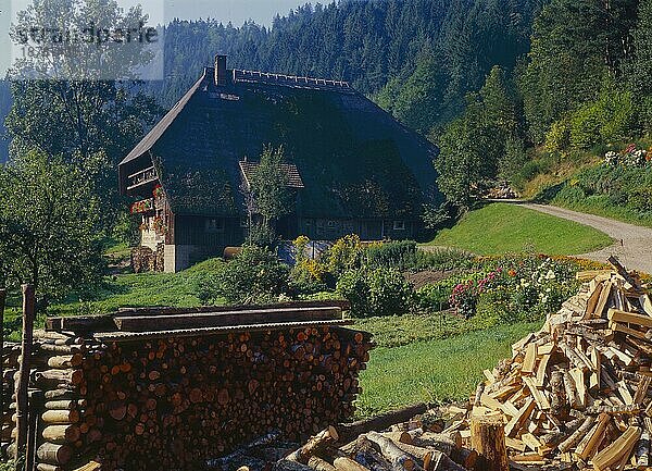 Bauernhof der Dritte Hof im Gutachtal im mittleren Schwarzwald. Baden-Württemberg  Deutschland  Farm the third court in the Gutachtal in the middle Black Forest. Baden-Wurttemberg  Germany  Europa