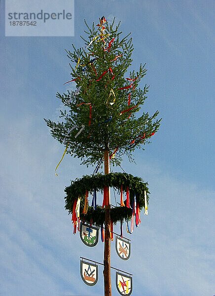 Maibaum auf dem Dorfplatz  Pfingstbrauch  Maypole on the village square  Whitsun custom