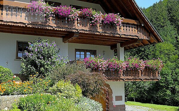 Baden-Württemberg  Schwarzwald Schwarzwaldhaus  Balkon mit verschiedenen Blumen