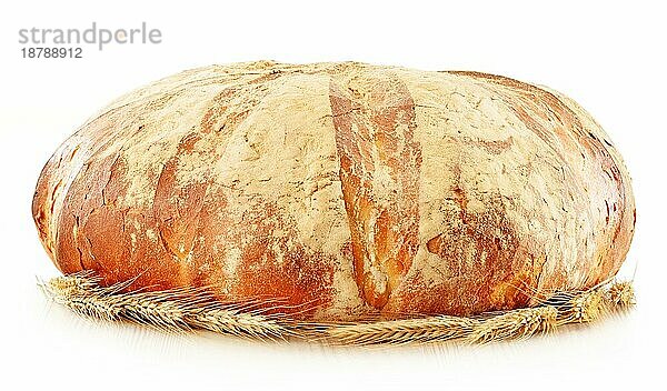 Großer Laib traditionell gebackenes Brot vor weißem Hintergrund