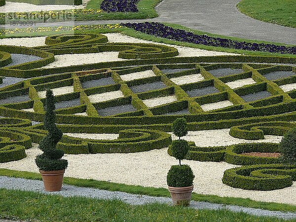 Blühendes Barock Ludwigsburg im Frühling  BW.-D. Buchsbaum in Form geschnitten