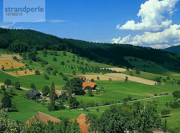 Bauernhöfe bei Biberach  Schwarzwald  Baden-Württemberg  Deutschland  Europa