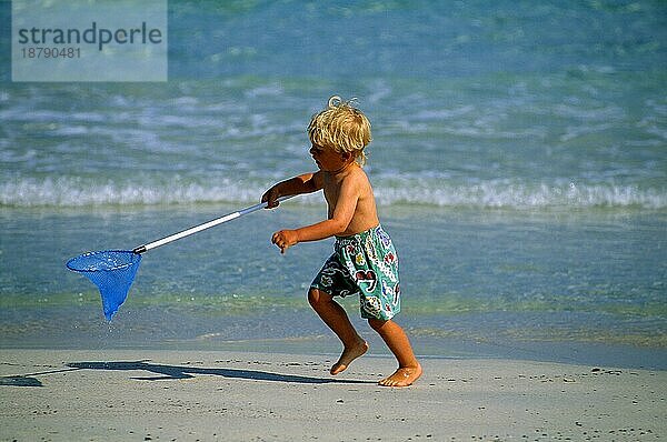 Kind bis 4 Jahre  Kescher (Käscher) kleiner Junge mit Fischernetz am Sandstrand