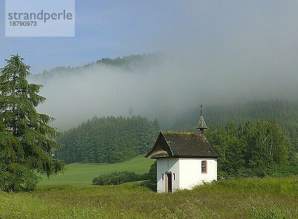 Kapelle in Titisee-Neustadt  Frühnebel  Blumenwiese  Schwarzwald. Bad. -Wuerttemb. BRD