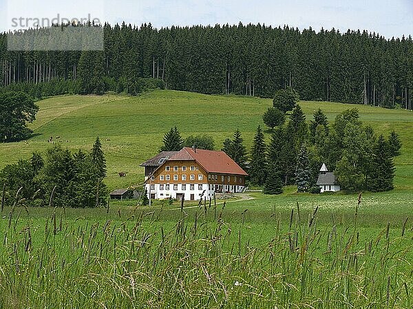 Schwarzwaldhof mit Kapelle in Titisee  Schwarzwald. Bad. -Wuertt. BRD