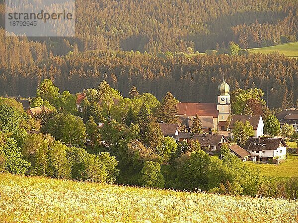 Abendrot über Lenzkirch. bei Titisee. Schwarzwald  Baden-Württemberg  Deutschland  Europa