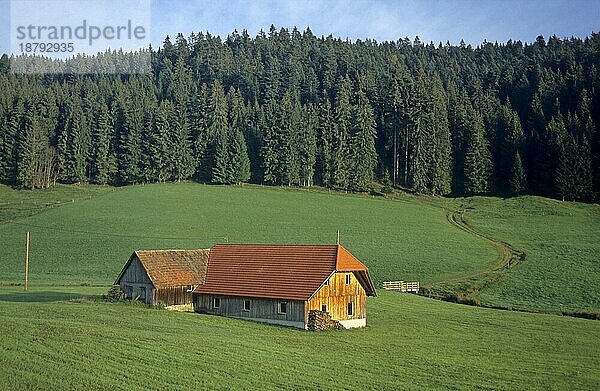 Gehöft im Hochschwarzwald