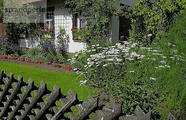 Nord  Schwarzwald Bauerngarten mit Blumen  Baden  Württemberg  Schwarzwald
