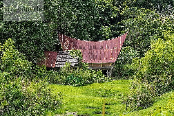 Traditionelle Batak Häuser  auf Indonesisch Rumah Bolon genannt  sind bekannt für ihre charakteristischen Dächer  die sich an jedem Ende nach oben wölben  wie der Rumpf eines Bootes  und für ihre farbenfrohe Dekoration