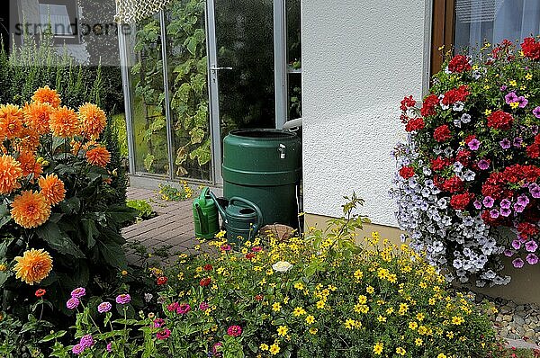 Baden-Württemberg  Schwarzwald Haus mit Blumengarten im Sommer  verschiedene Sommerblumen im Garten