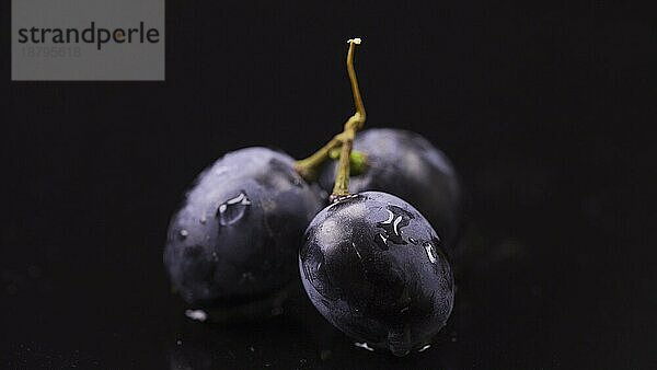 Nahaufnahme von drei Beeren dunkler Weintrauben mit Wassertropfen