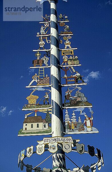 Maibaum mit Zeichen der Handwerker und Zimmerleute vom Ort  Haar bei München  Bayern  Deutschland  Europa