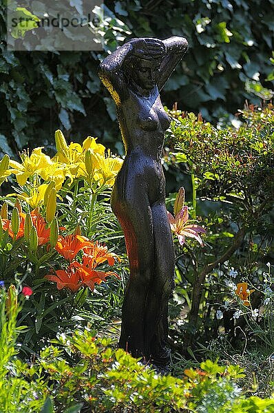 Lilien (Lilium) im Garten blühend  Gartenfigur : nackte Frau  Midcentury  Hybride