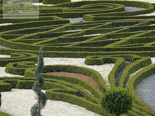 Blühendes Barock Ludwigsburg im Frühling  BW.-D. Buchsbaum in Form geschnitten