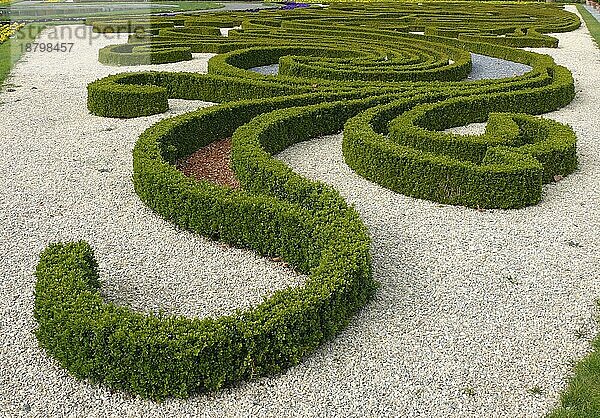 Blühendes Barock Ludwigsburg im Frühling  BW.-D. Buchsbaum in Form geschnitten