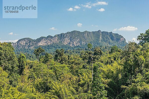 Der Nationalpark Khao Sok mit dem Cheow Lan See ist das größte Urwaldgebiet im Süden Thailands
