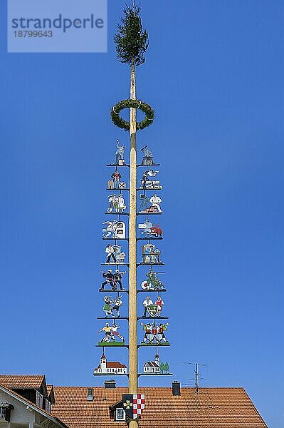 Der Maibaum in Haldenwang  Allgäu  Bayern  Deutschland  Europa