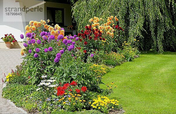 Baden-Württemberg  Schwarzwald Haus mit Blumengarten im Sommer  verschiedene Sommerblumen im Garten