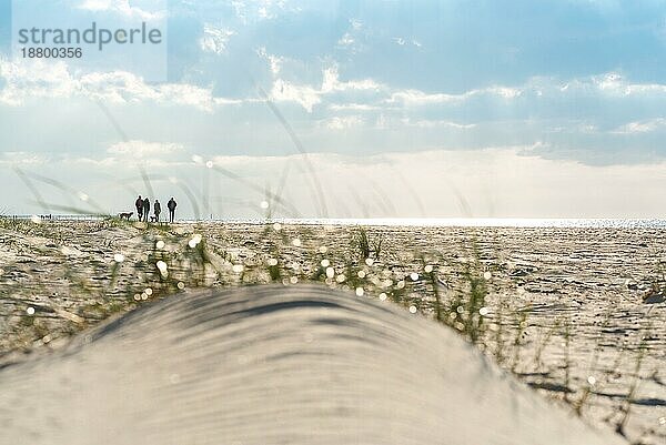 Endloser Strand in der Region Fischland  Darß  im nordöstlichen Teil Deutschlands im Bundesland Mecklenburg Vorpommen. Eine der schönsten Landschaften im Norden