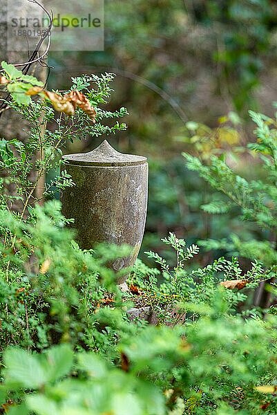 Urnengrab auf dem Südwestkirchhof Stahnsdorf  einem berühmten Wald und Prominentenfriedhof im Bundesland Brandenburg südlich von Berlin