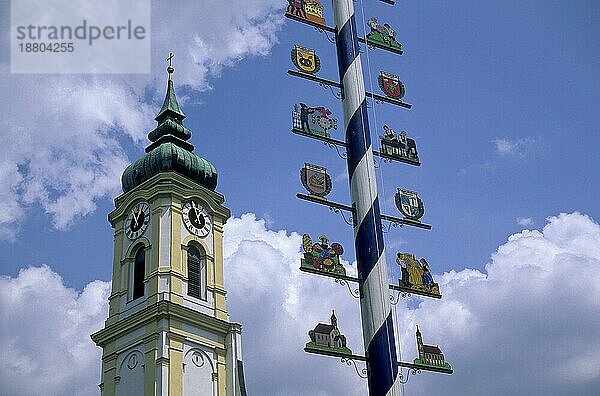 Maibaum mit Zeichen der Handwerker und Zimmerleute vom Ort  Haar bei München  Bayern  Deutschland  Europa