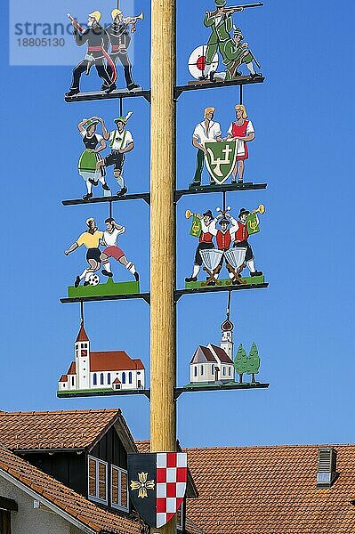 Der Maibaum in Haldenwang  Allgäu  Bayern  Deutschland  Europa