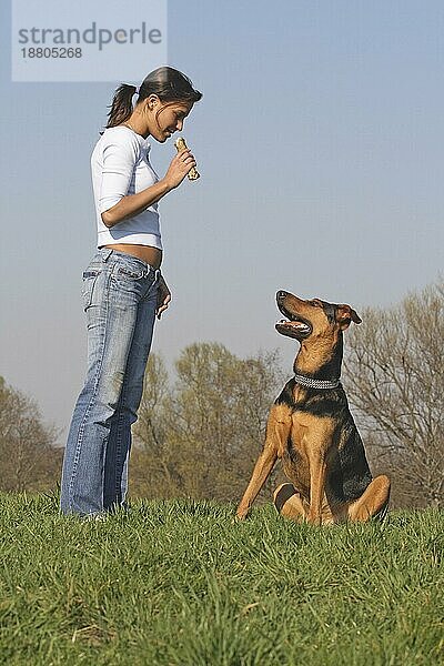 Junge Frau mit Dobermann-Schäferhund Mischling